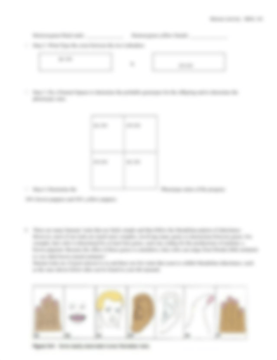 Heredity worksheet.docx_dh22o0of0s5_page2