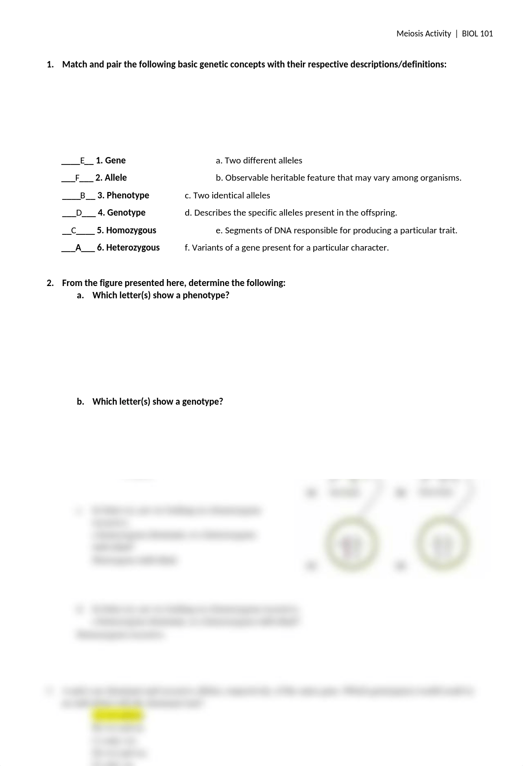 Heredity worksheet.docx_dh22o0of0s5_page1