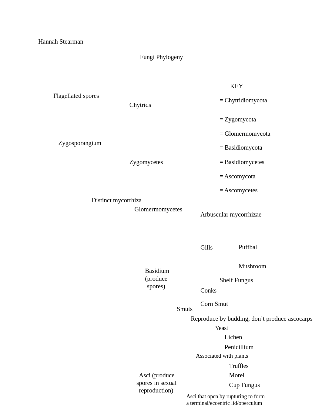 Fungi Phylogeny Tree.docx_dh22p4awywq_page1