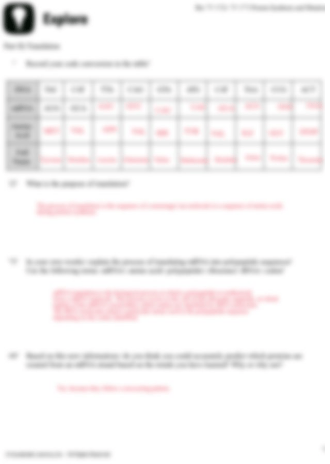 ProteinSynthesisandMutations_EXPLORE_SJ (5) kamm.pdf_dh259q6wv0z_page3