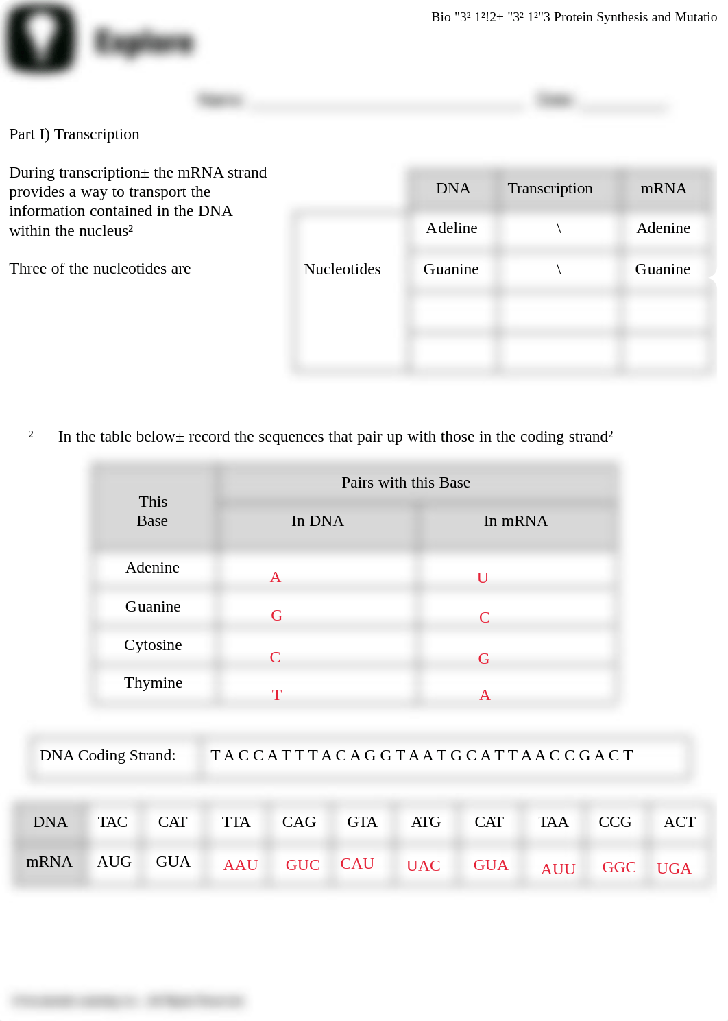 ProteinSynthesisandMutations_EXPLORE_SJ (5) kamm.pdf_dh259q6wv0z_page1