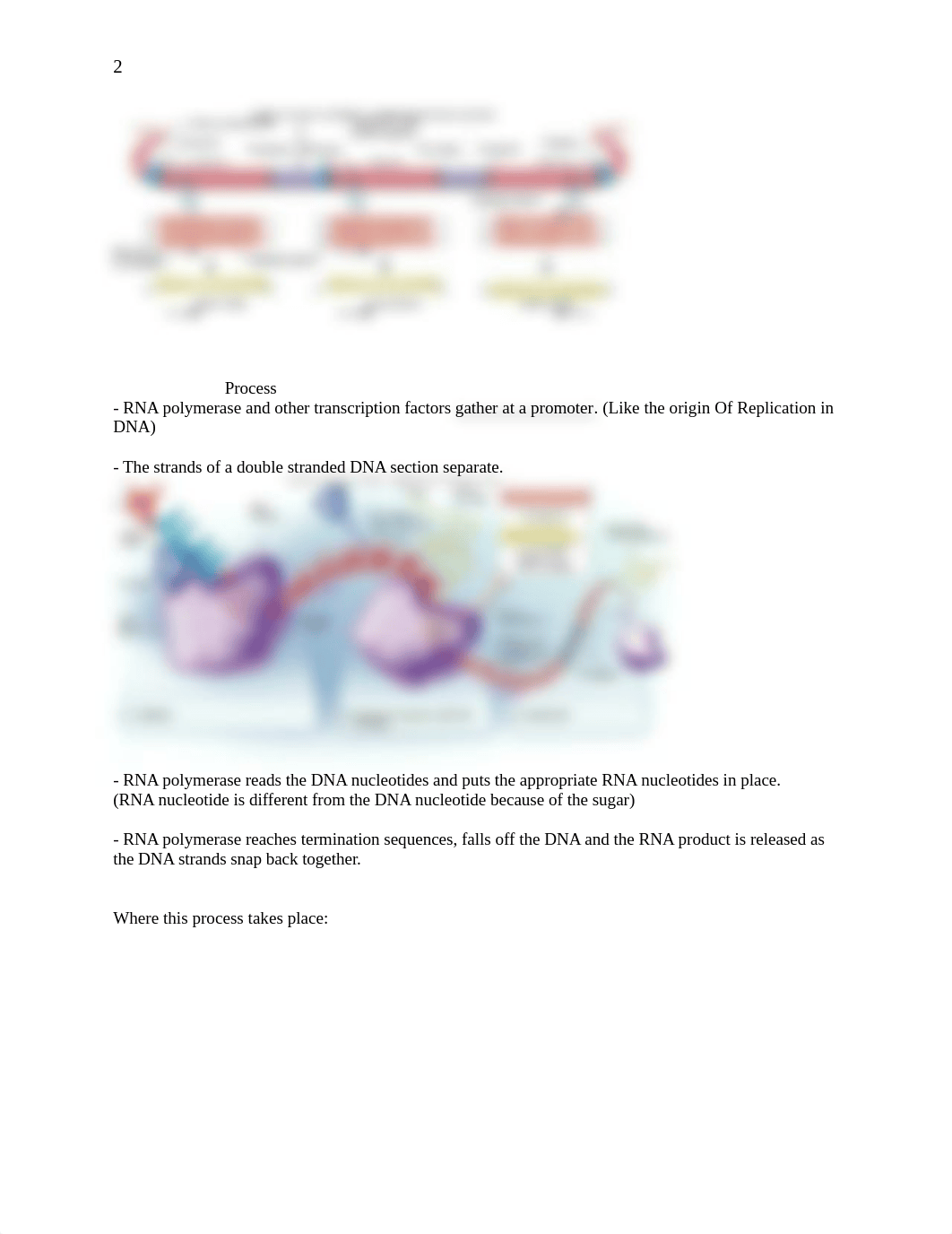 Lecture Notes Test 4_dh2dci9ama8_page2