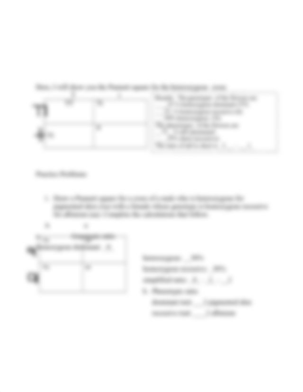 Genetics-2_Monohybrid_cross (2).docx_dh2e9c059k9_page4