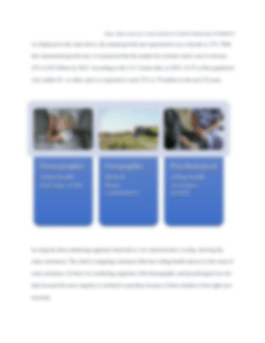 PART B Market Segmentation and SWOT Analysis.docx_dh2n2krigei_page3