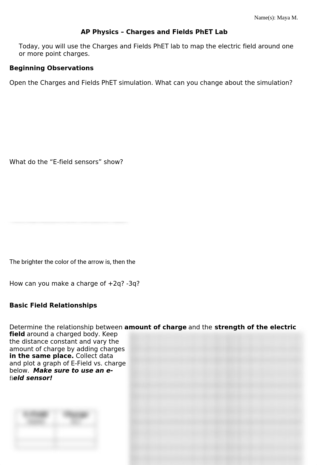 Homework - E-Field Sims.docx_dh2yqft712w_page1