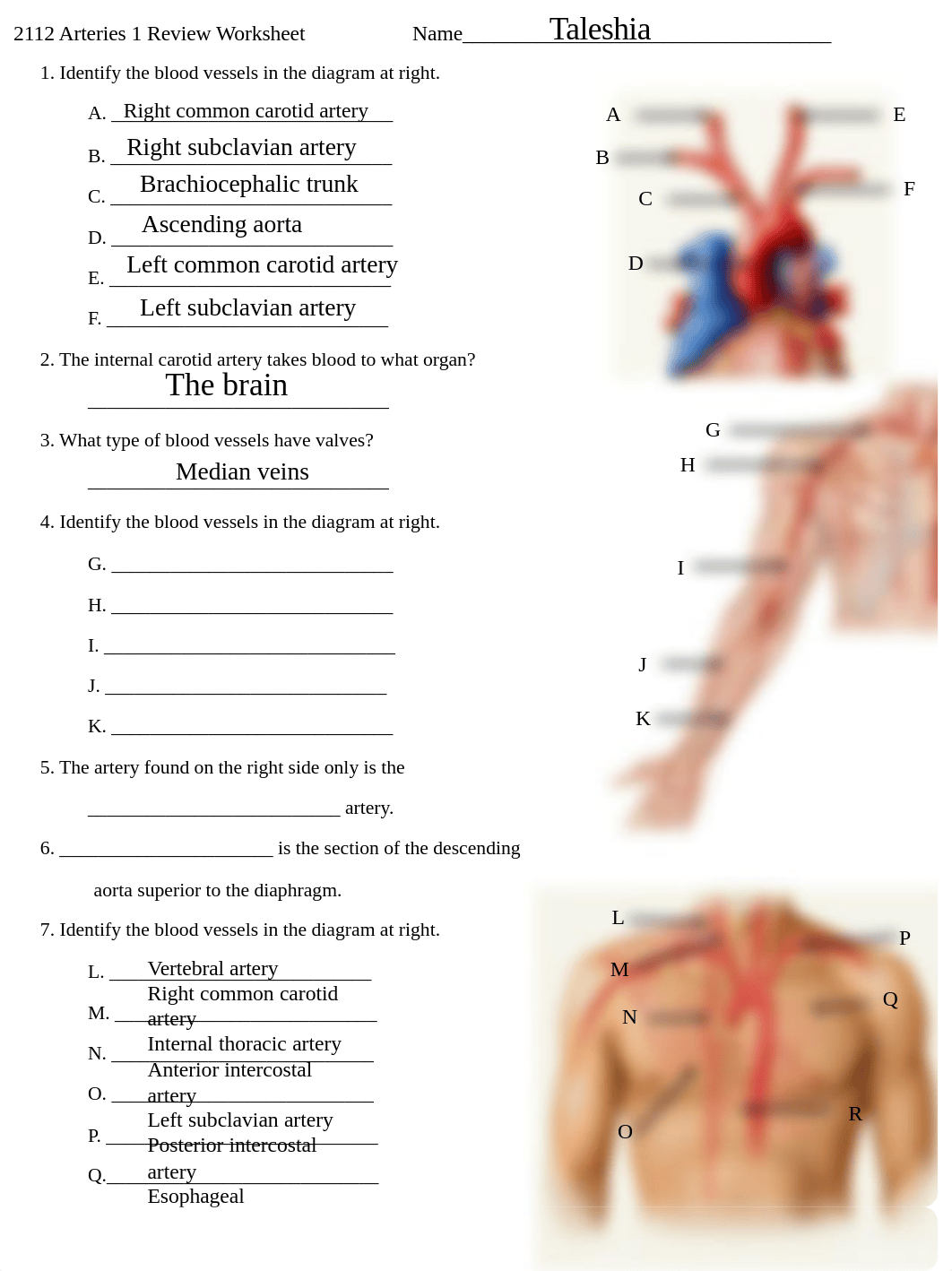 2112 Arteries 1 Review.pdf_dh2zvdt4l00_page1