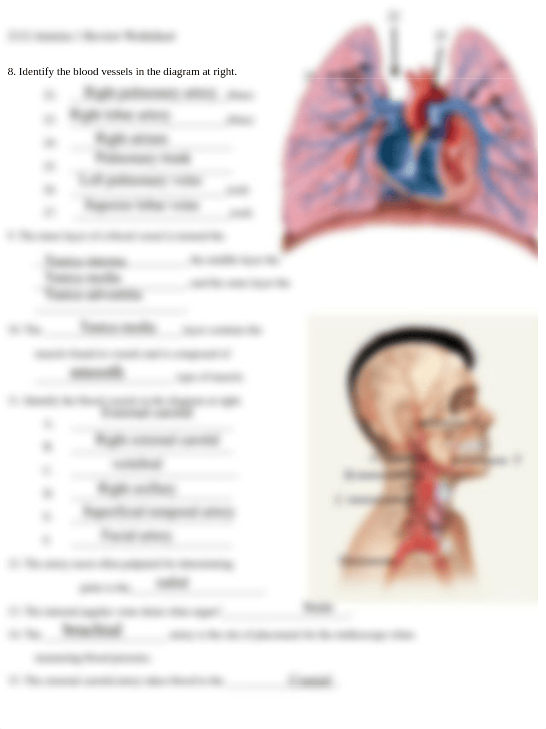 2112 Arteries 1 Review.pdf_dh2zvdt4l00_page2