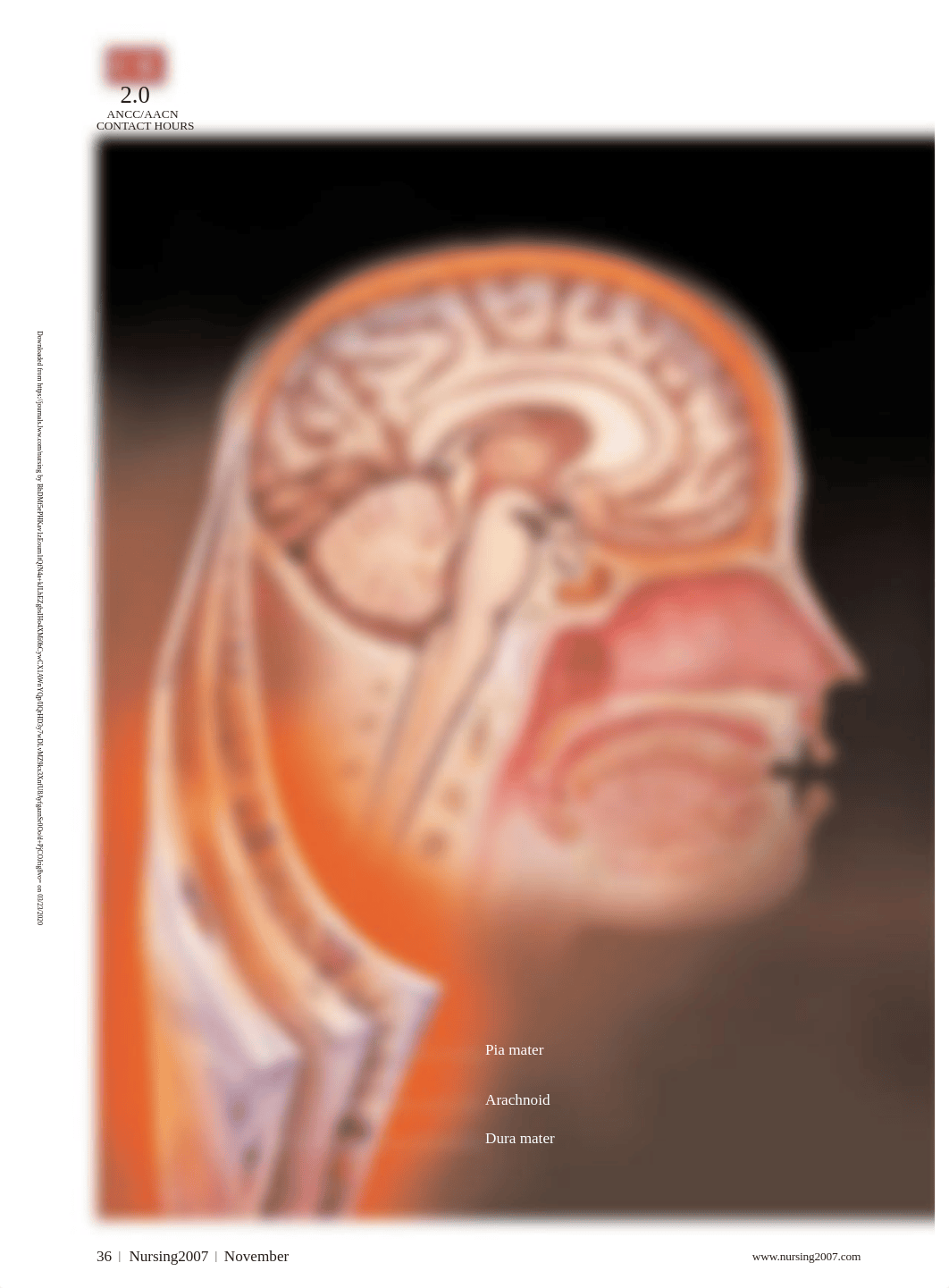 Getting_ahead_of_acute_meningitis___encephalitis.35.pdf_dh31wc2s1od_page1