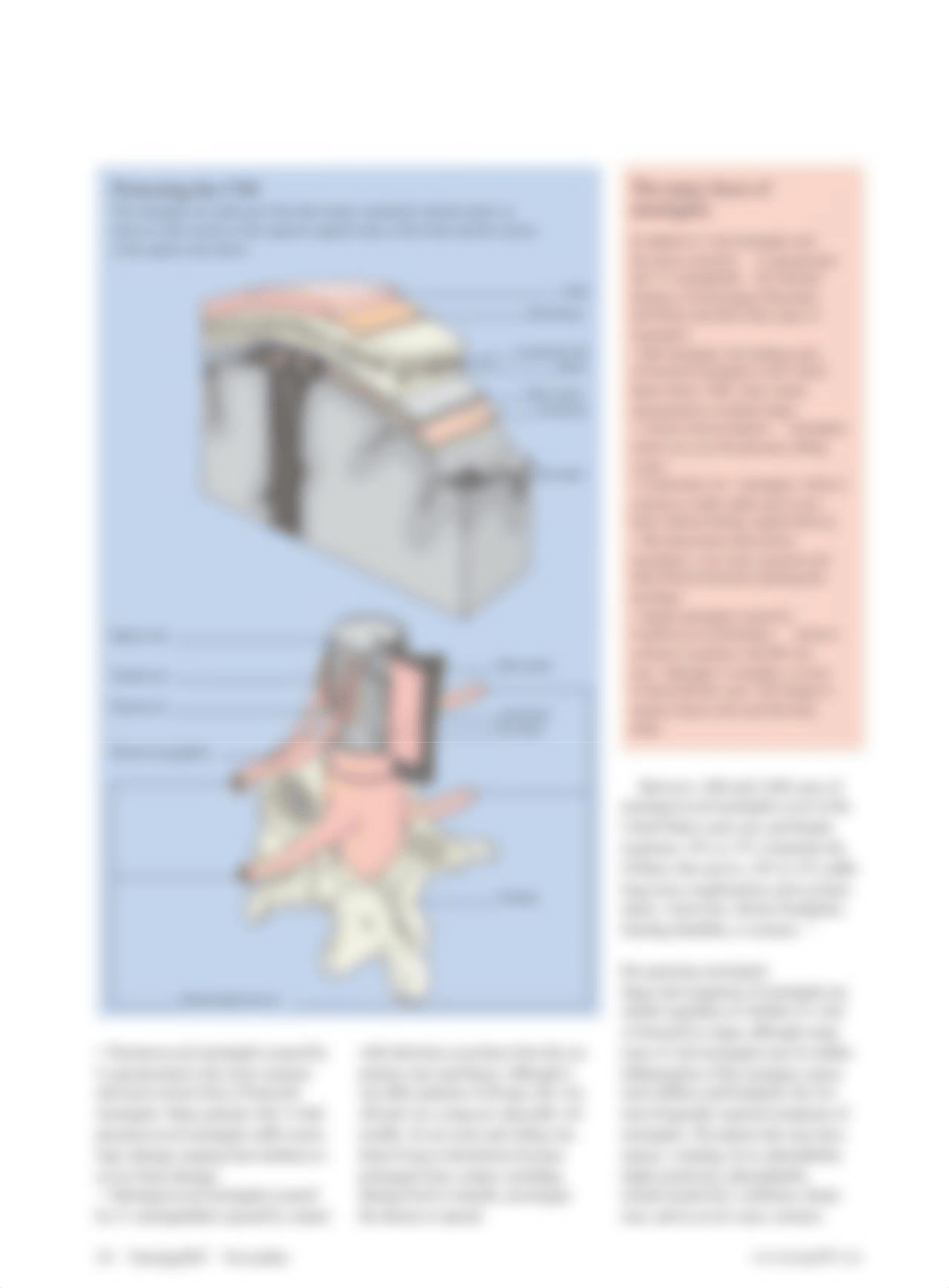 Getting_ahead_of_acute_meningitis___encephalitis.35.pdf_dh31wc2s1od_page3