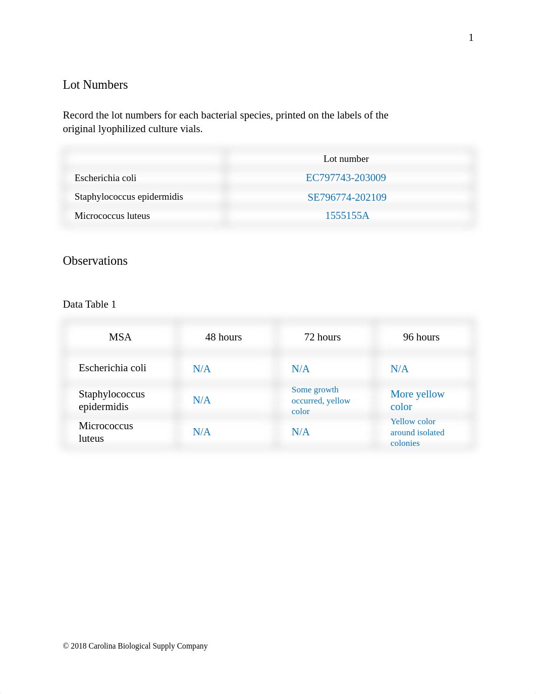 Lab Report - Use of Selective and Differential Media.pdf_dh32ta56xie_page2