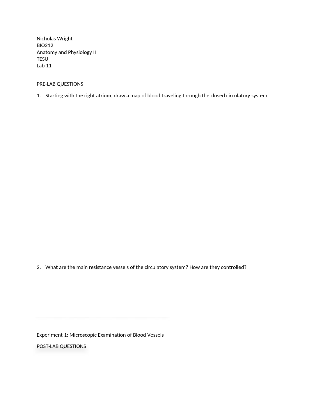 Nicholas Wright Lab 11.docx_dh3f5i25lh4_page1