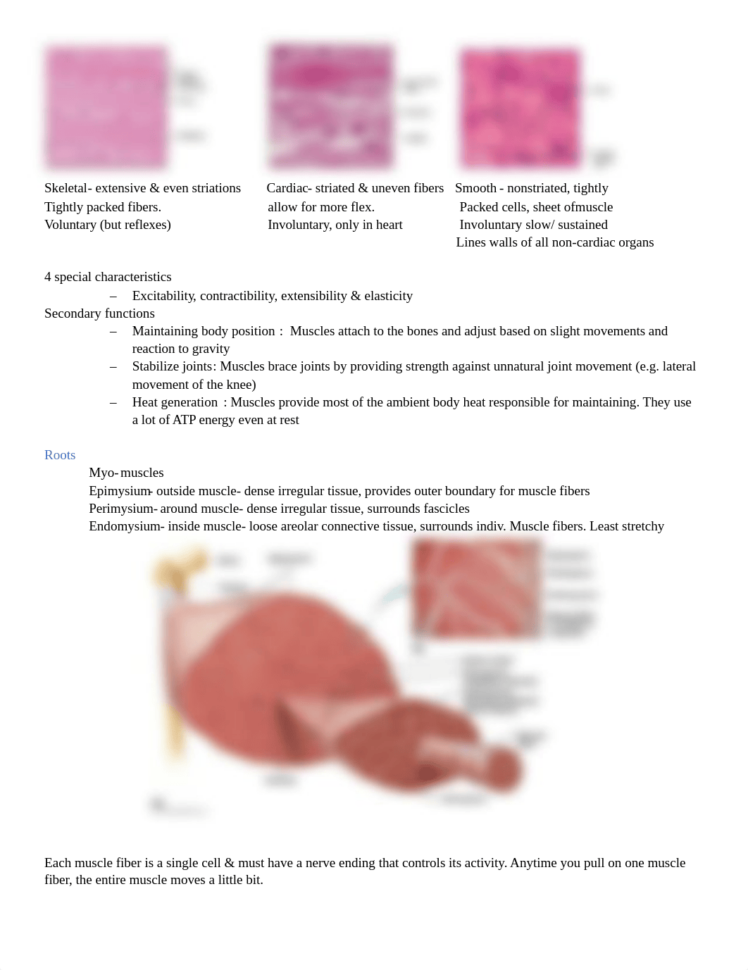 Exam 3 review.docx_dh3l1q9cy8m_page1