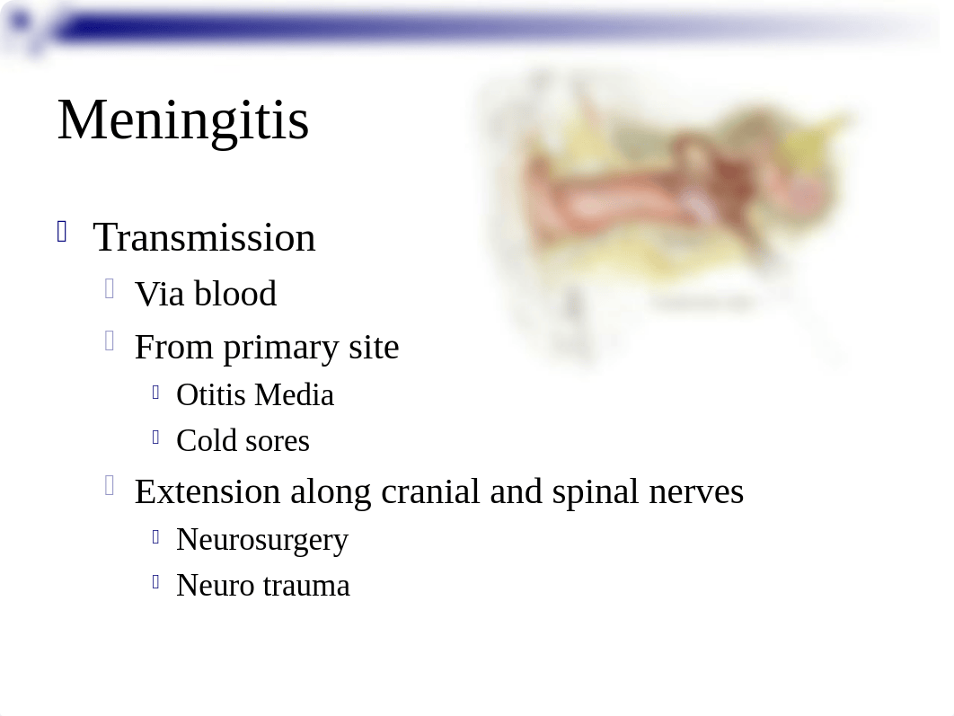 Neuro Part II _ QUIZ 3 Material.ppt_dh3l2at4k60_page5