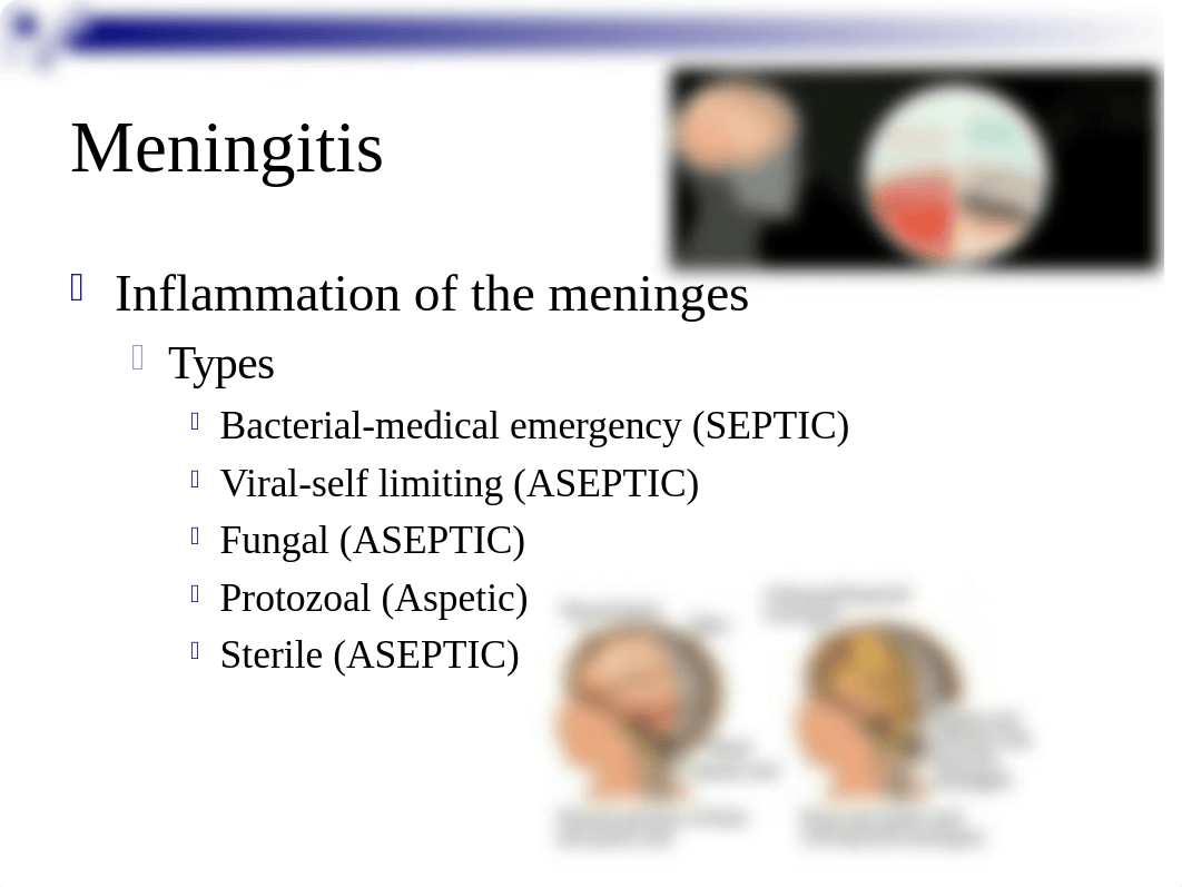 Neuro Part II _ QUIZ 3 Material.ppt_dh3l2at4k60_page4