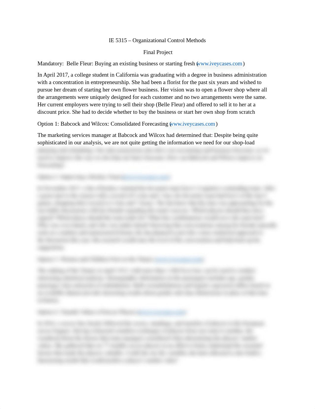 IE 5315 Project Options.docx_dh3mnxzp5kv_page1