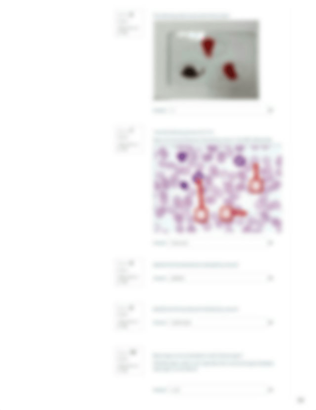 Blood Quiz.pdf_dh3njzb0te9_page3