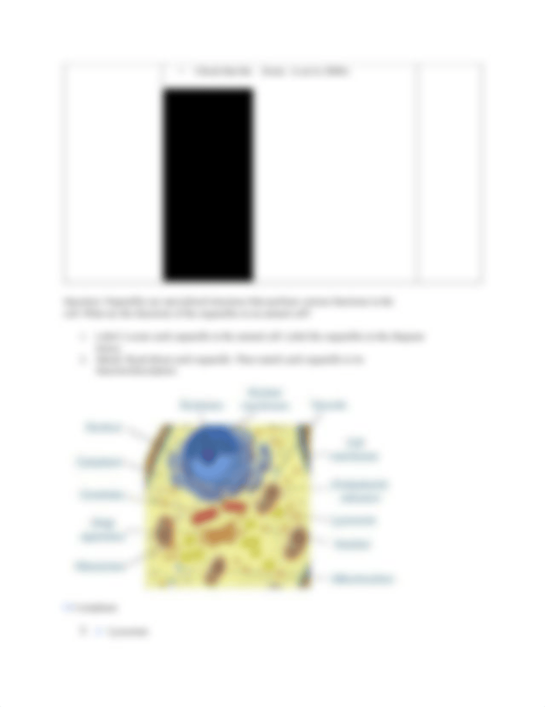 The Cell Structure Gizmo key.pdf_dh3qu2sd6s4_page2