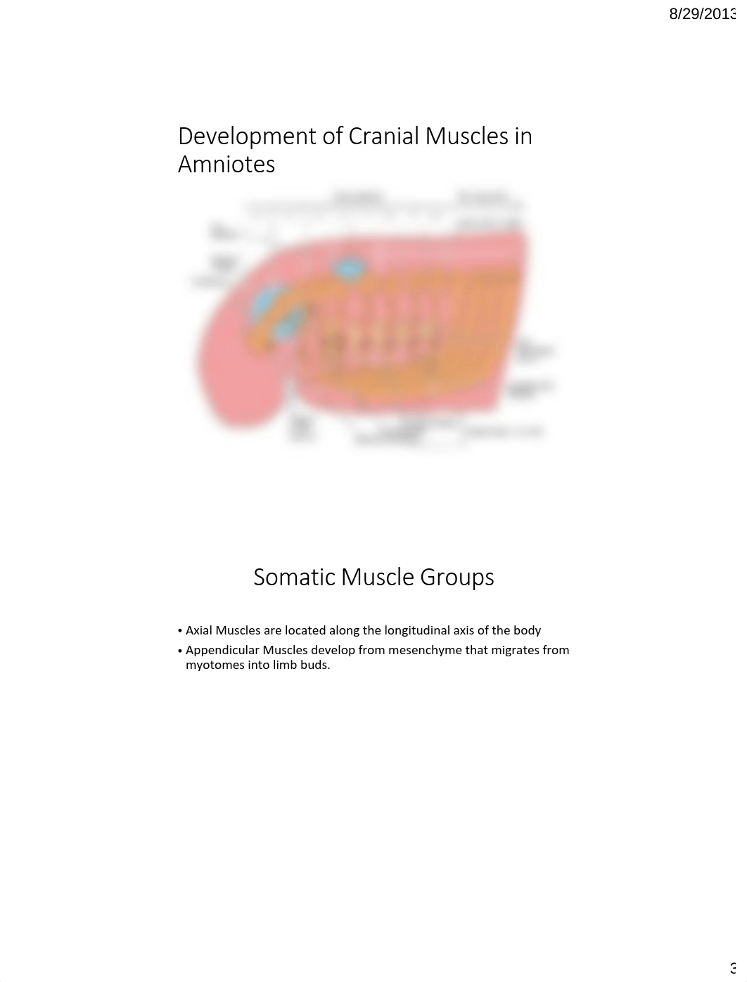 Evolution of Vertebrate Muscular System_dh40hwzh3s0_page3