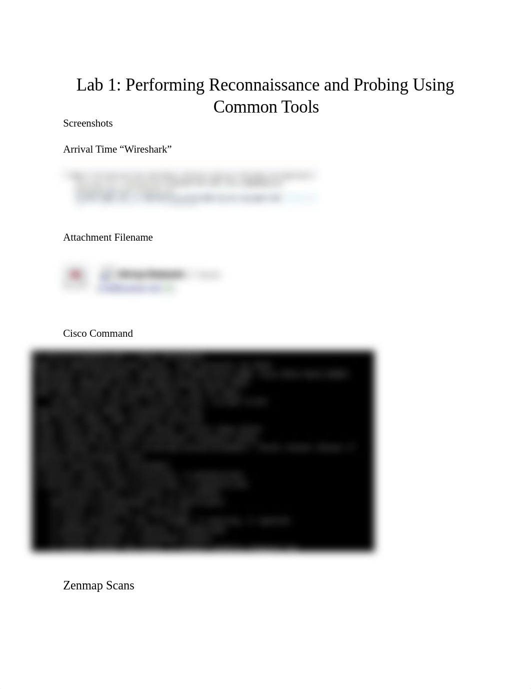 Lab 1- Performing Reconnaissane and Probing using Common Tools .docx_dh47wwpvzir_page1