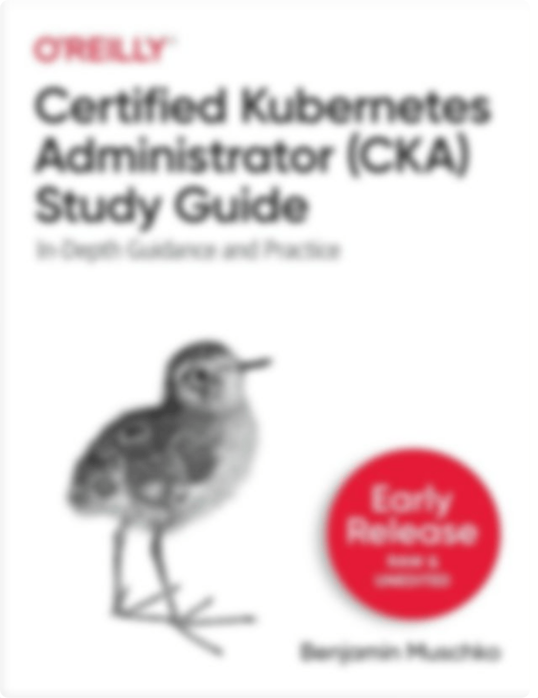 Certified-Kubernetes-Administrator-Cka-Study-Guide-In-Depth-Guidance-And-Practice.pdf_dh48cqec6ni_page1