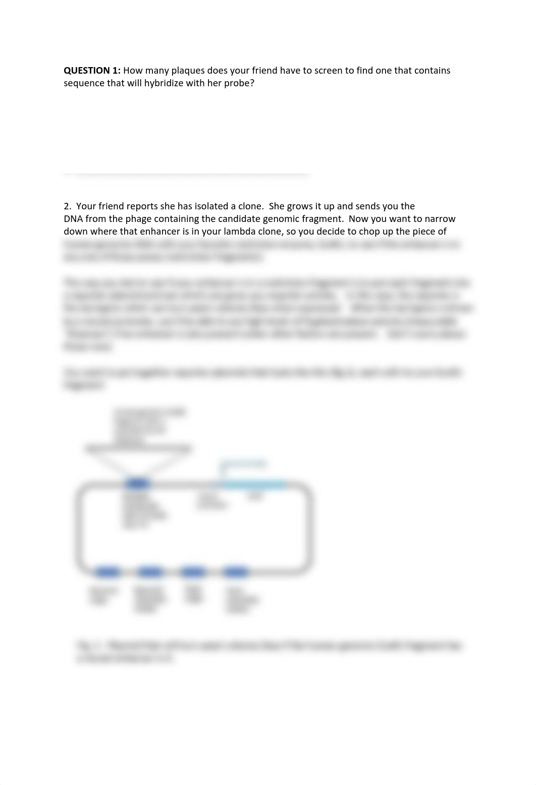 Homework Week 1.pdf_dh4b8o5odxz_page2