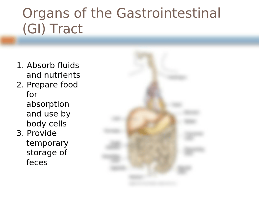 Bowel Elim.pptx_dh4j9z3v29g_page2