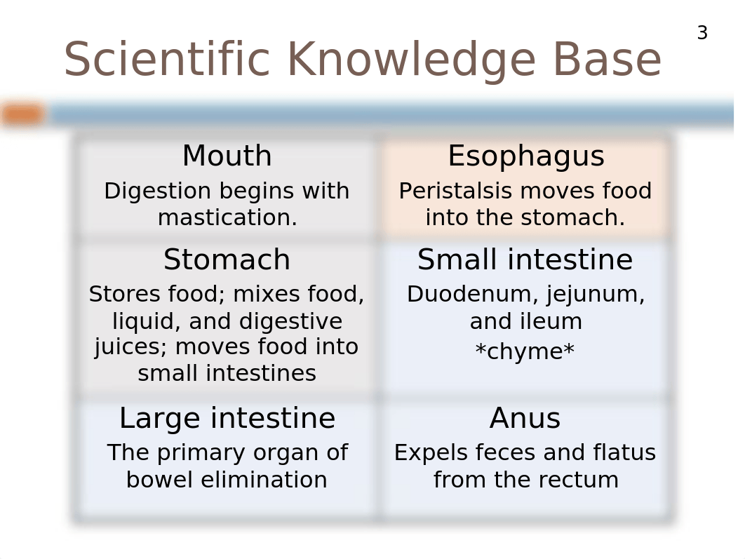 Bowel Elim.pptx_dh4j9z3v29g_page3