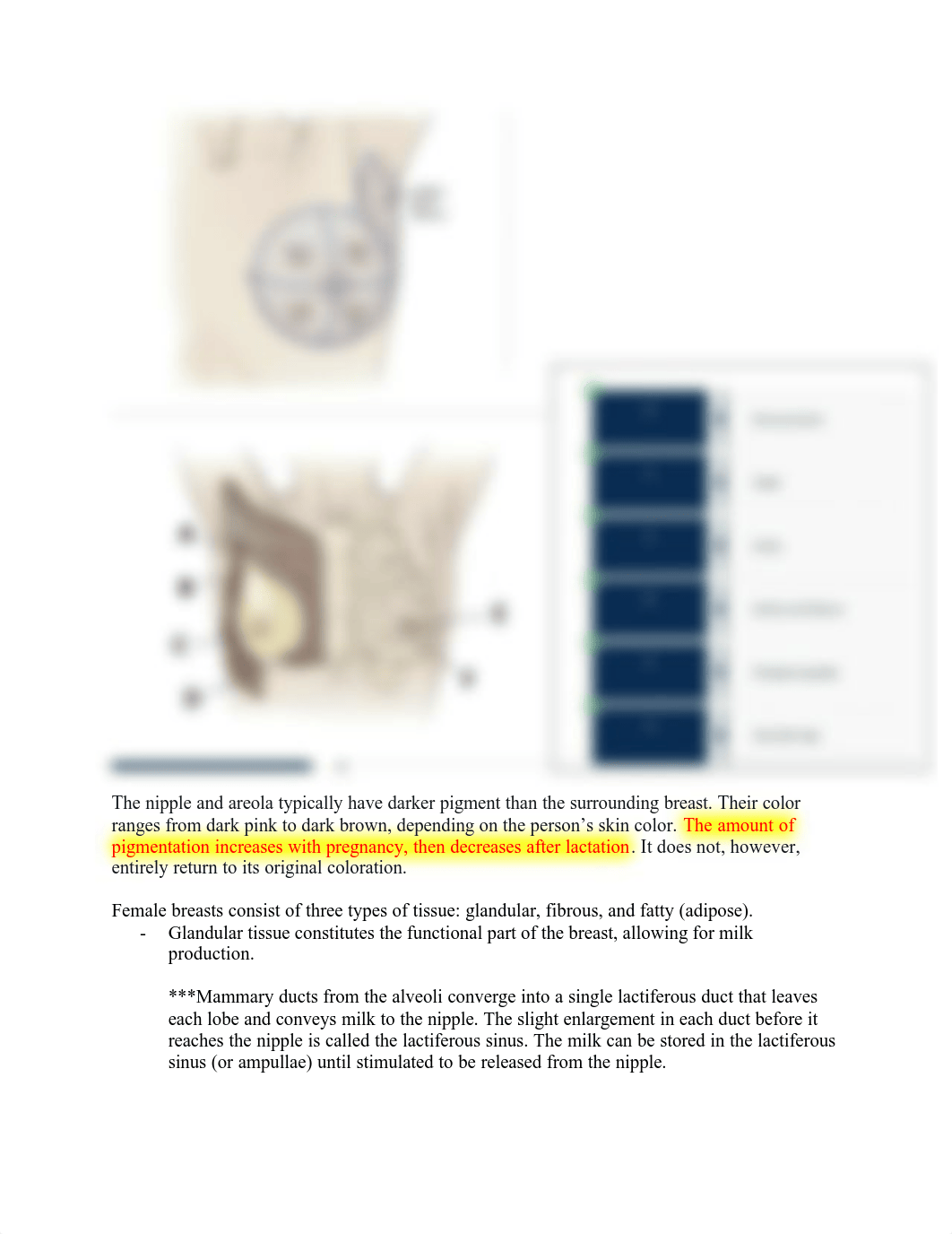 Abdomen, Breast Axillae and Genitalia .pdf_dh4ln7ghtnv_page2