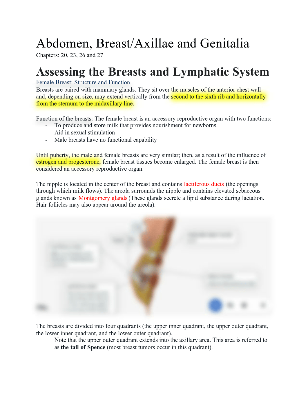 Abdomen, Breast Axillae and Genitalia .pdf_dh4ln7ghtnv_page1