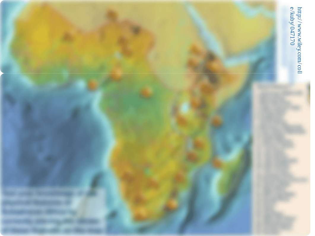 Africa ID study guide (1)_dh4ltin8idw_page3