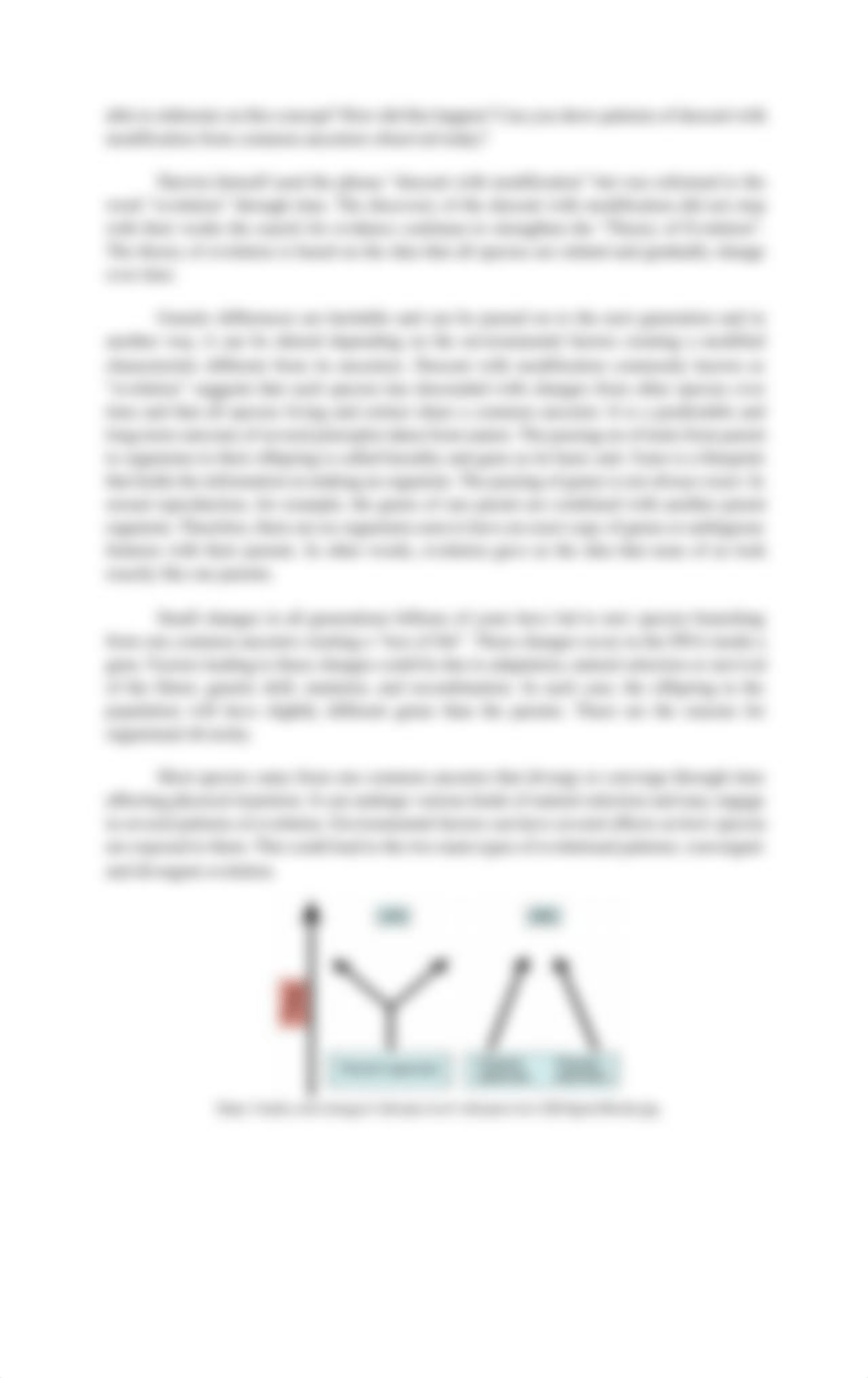 General-Biology-2_Q3_W4-5_M4_LDS_Patterns-of-Descent-with-Modification-from-Common-Ancestors_RTP.pdf_dh4ndzenbtk_page2