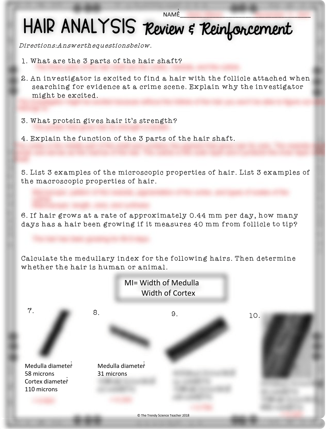 Hair analysis review and reinforcement (3).pdf_dh4pn14jfl5_page1