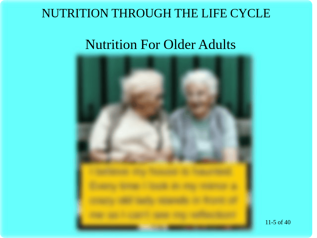 DNT 200 Module 11, Nutrition Through the Life Cycle Part 2.ppt_dh58wjligq7_page5