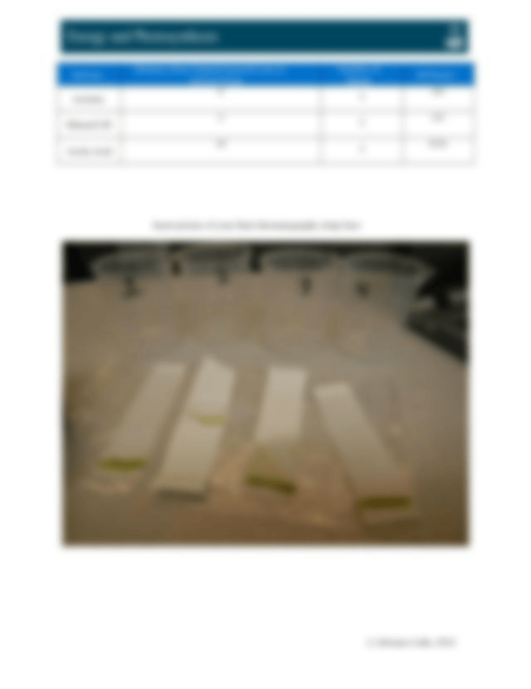 BI101PhotosynthesisWorksheet.docx_dh5kvnp8b0y_page2