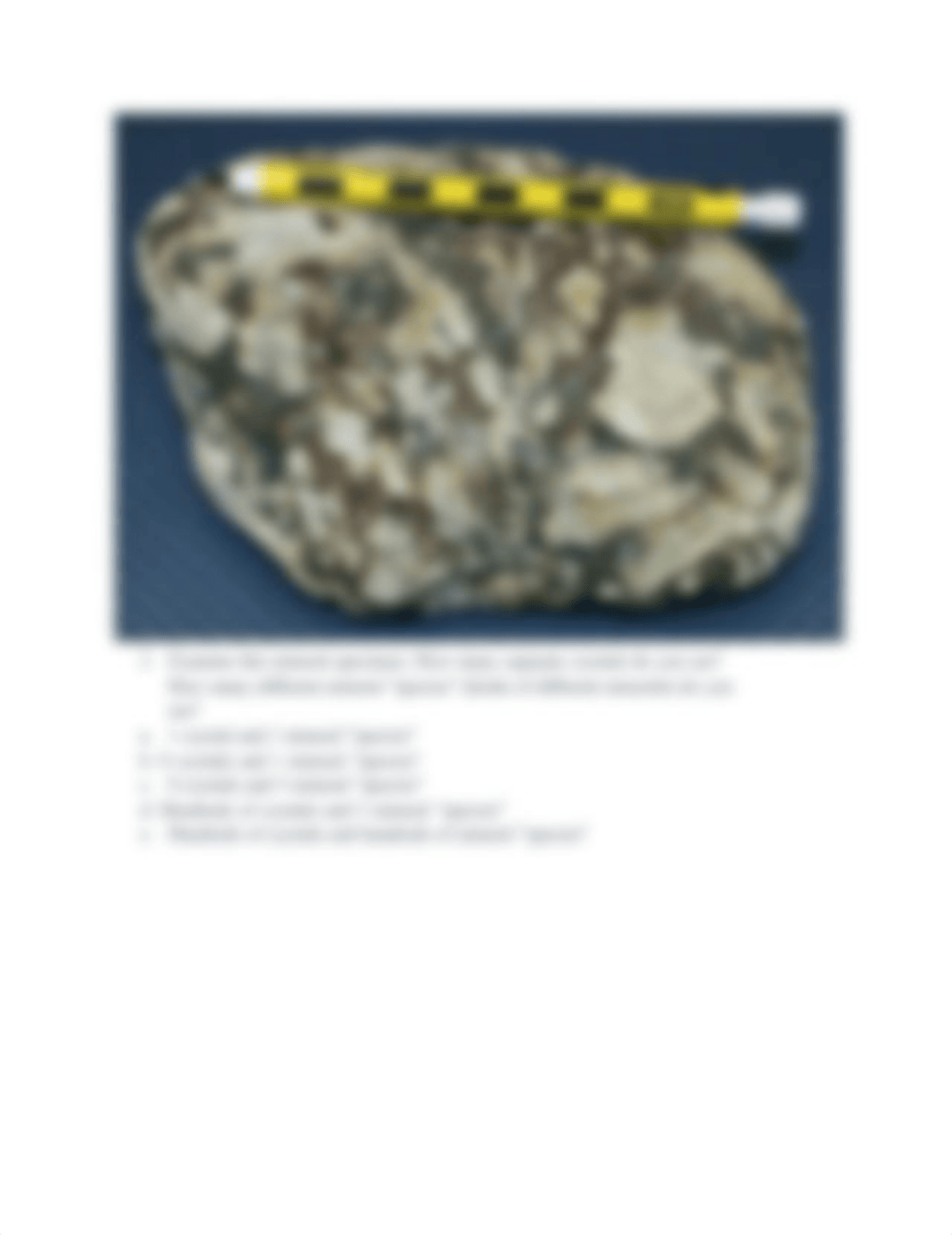 Geology assignment (1).pdf_dh5s94syp0b_page3