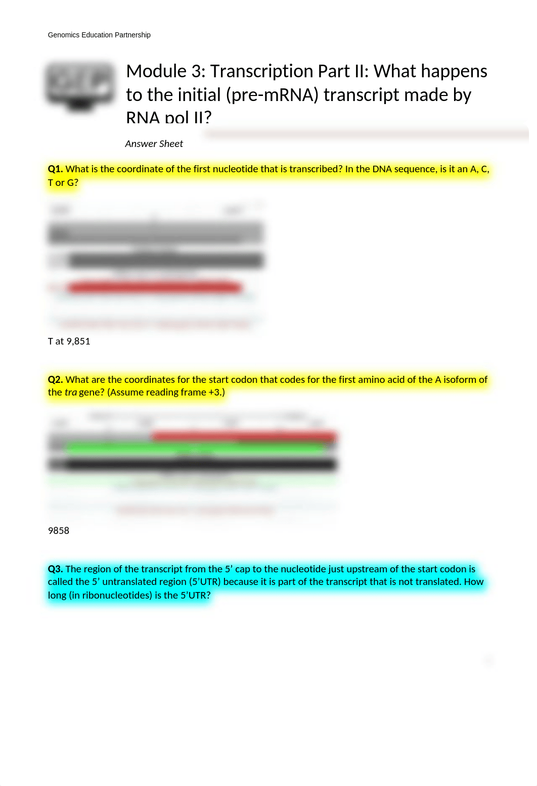 Module_3_Transcription_Part_II_Answer_Sheet.docx_dh5xax5k7m9_page1