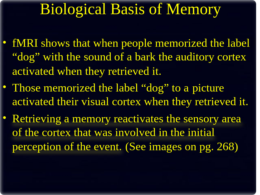 Biological Basis of Memory.ppt_dh5z9q5efzt_page5