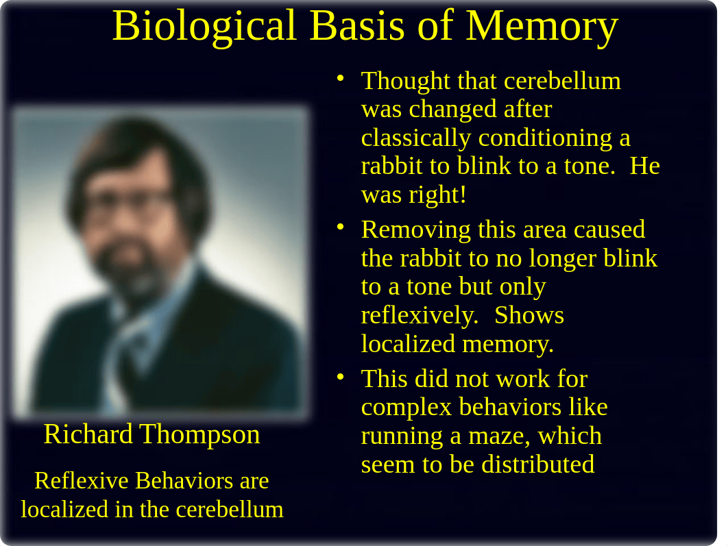 Biological Basis of Memory.ppt_dh5z9q5efzt_page4