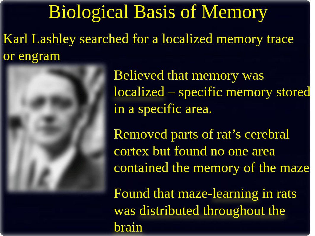 Biological Basis of Memory.ppt_dh5z9q5efzt_page2