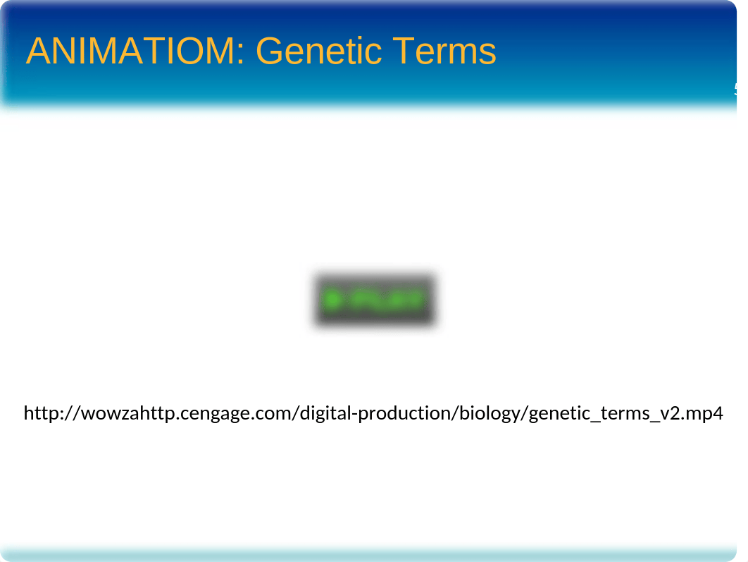 chapter13_observing patterns in inherited traits_F16_Moodle_dh620u1axjt_page5