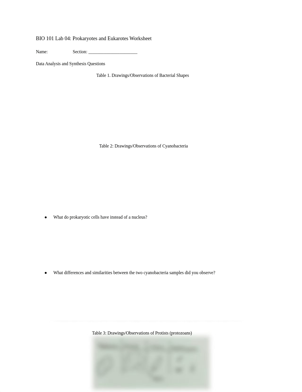 Lab 4.docx_dh62wtbtpwt_page1