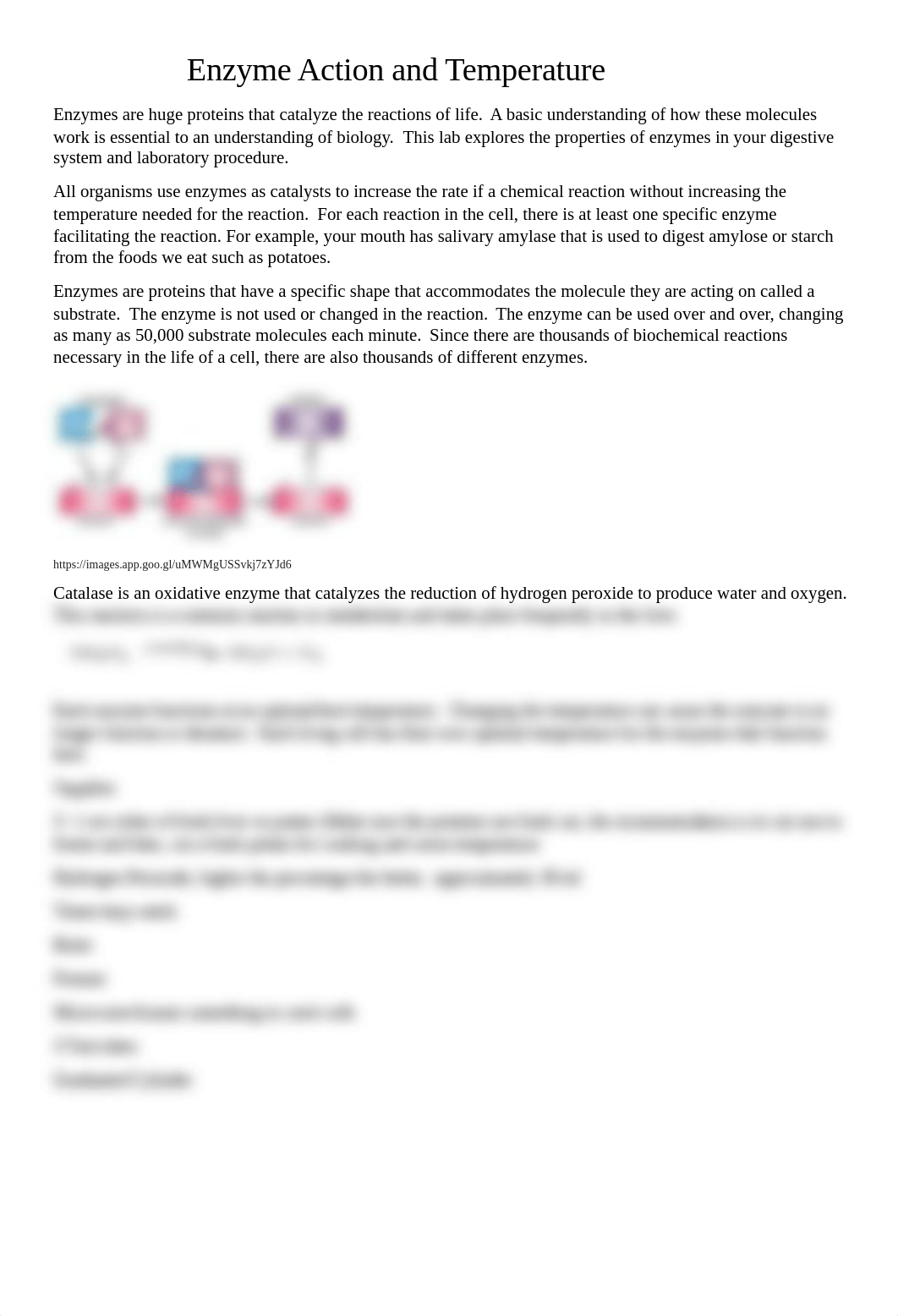 Temperature and Enzyme Lab 5.docx_dh6f8a6sjcp_page1