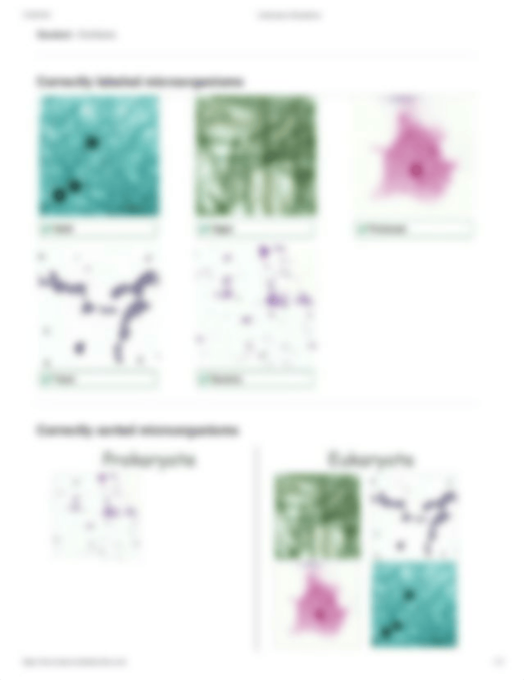 Microscopy - Diversity of Microorganisms.pdf_dh6ikev3tws_page1