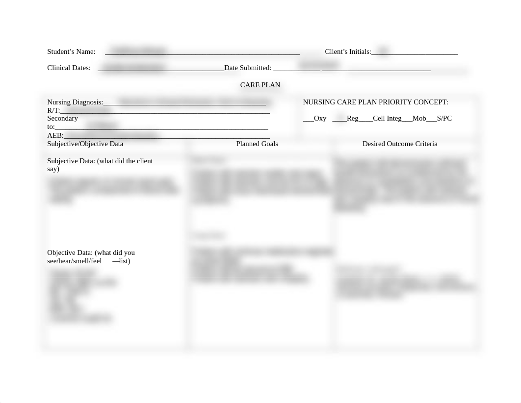 TWinzer - VA Care Plan.pdf_dh6irtzbp5j_page1