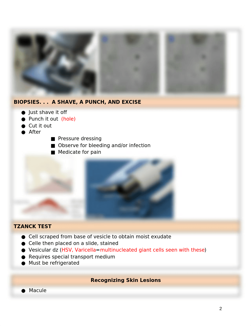 Peds Quiz 5- Derm.docx_dh6kpaeur08_page2