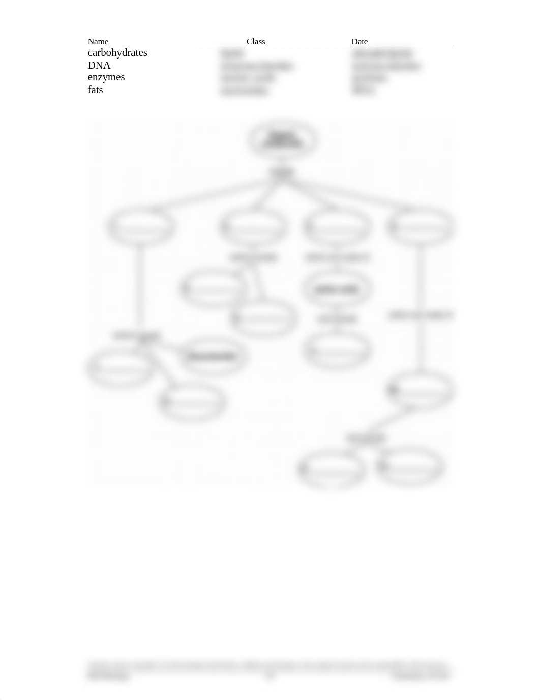 Chapter 3 concept map.doc_dh6qm8nh5qk_page2