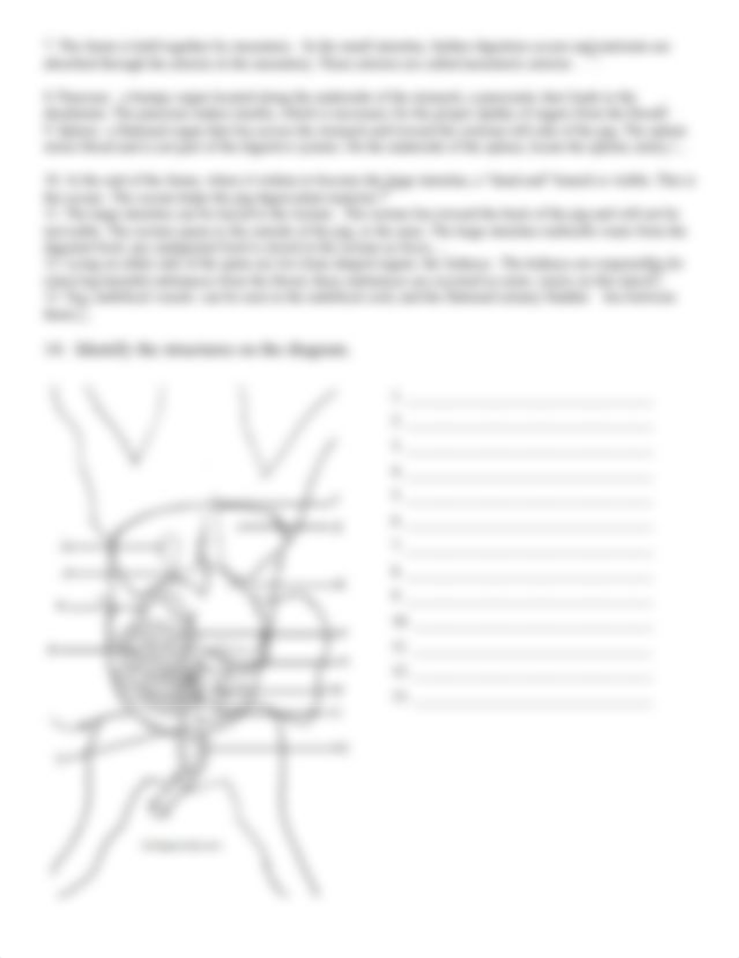 Fetal Pig Dissection.docx_dh6s49c1z5j_page4