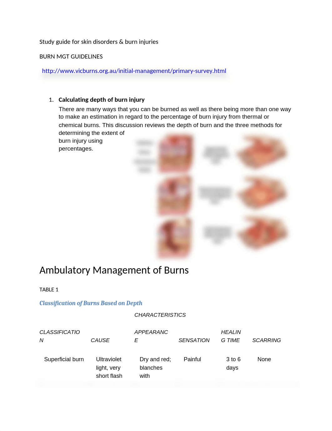 NUR217-Study_guide_for_skin_disorders__burns(1).docx_dh6xnfvthio_page1