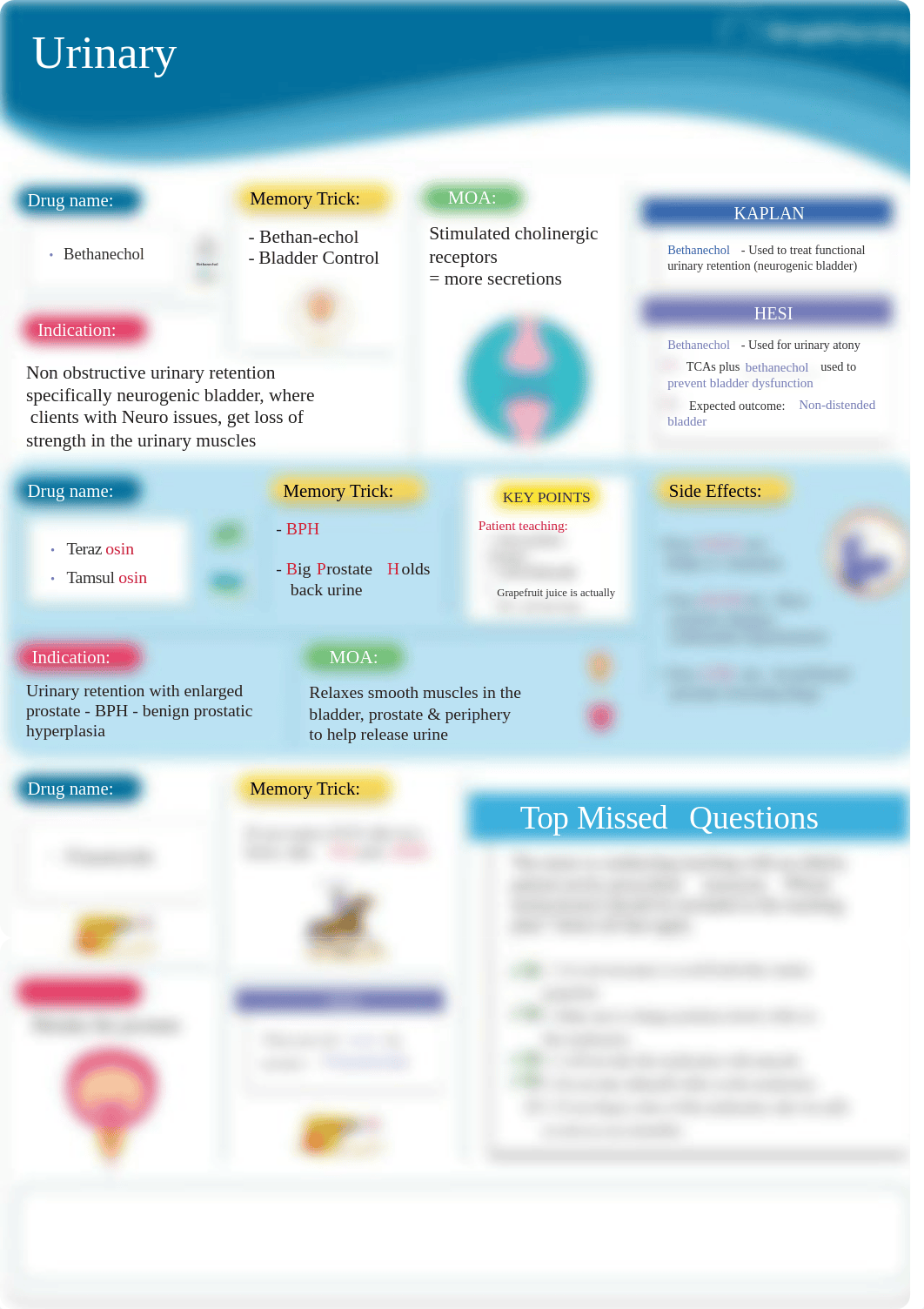 1. Urinary retention & BPH -2.pdf_dh756zapnr8_page1