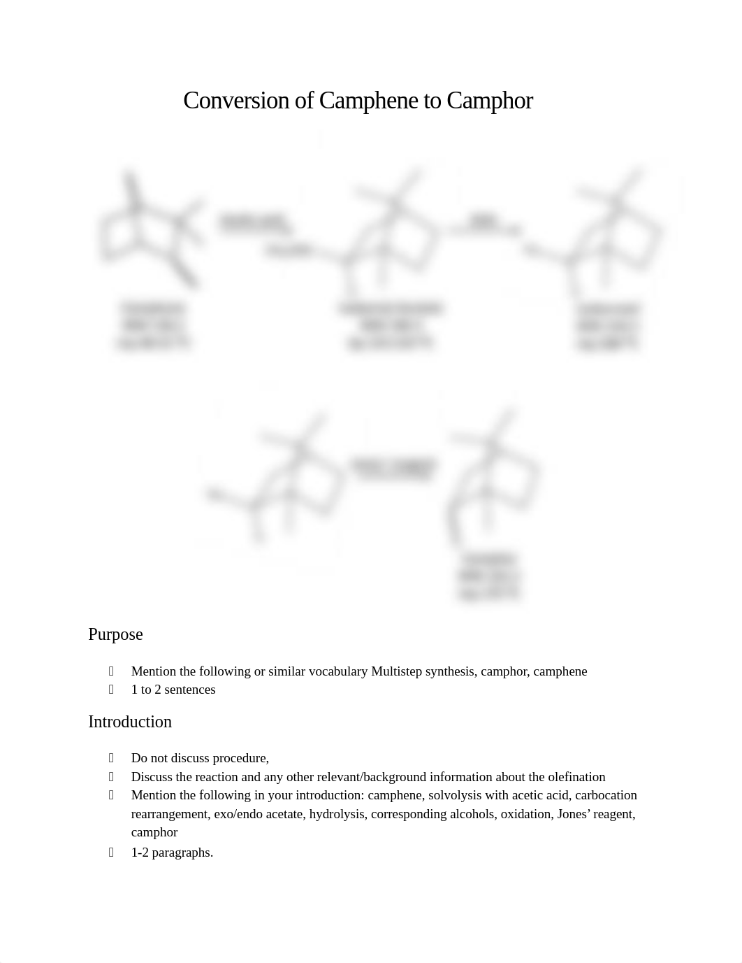 Camphor Lab Report.docx_dh79ipxau3y_page1